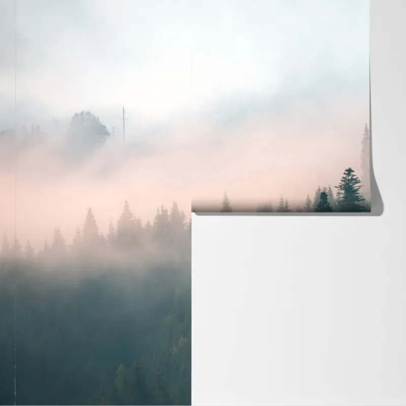 Fototapeta mglisty poranek w lesie – Wallissimo® Fototapeta mglisty poranek w lesie – Wallissimo®