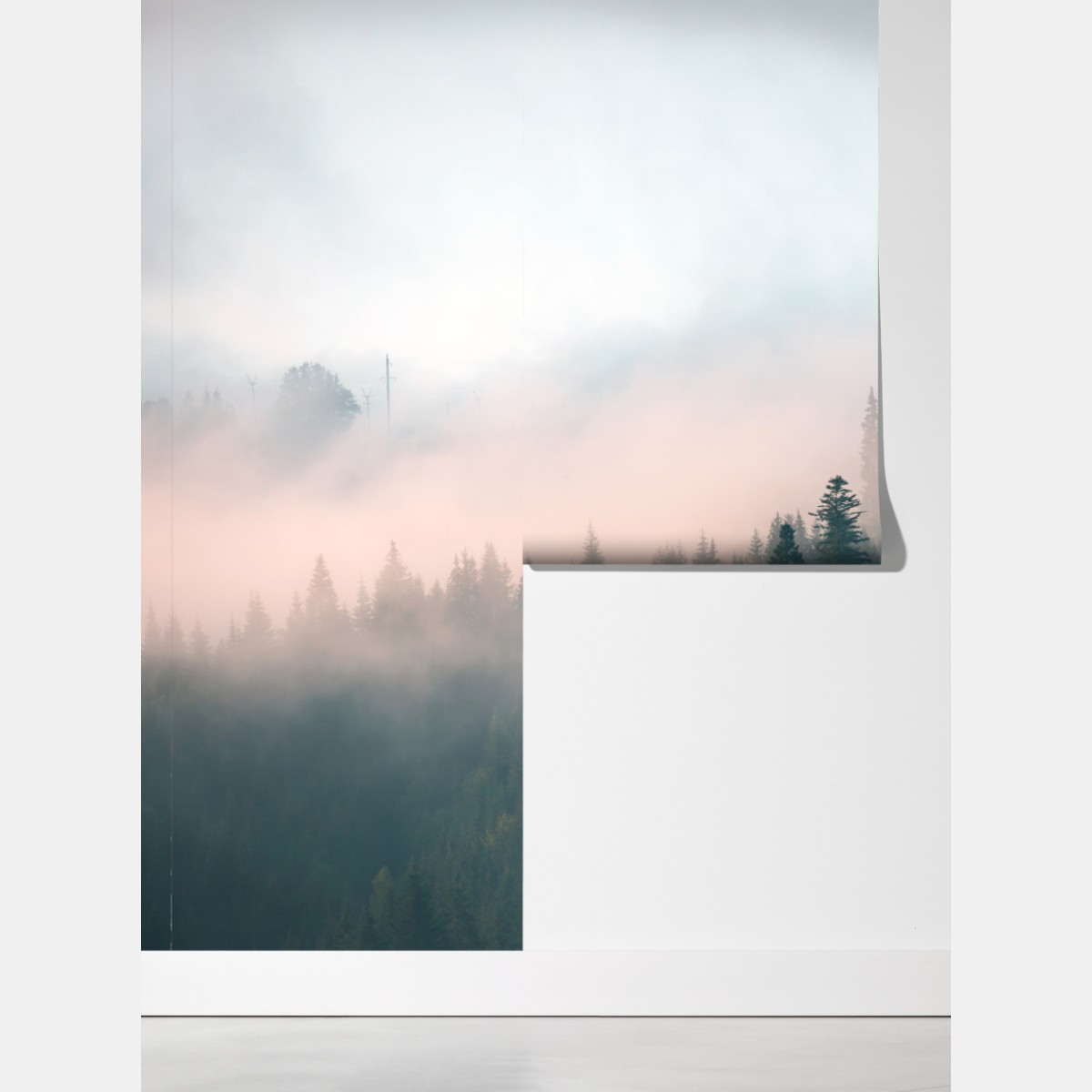 Fototapeta mglisty poranek w lesie – Wallissimo® Fototapeta mglisty poranek w lesie – Wallissimo®