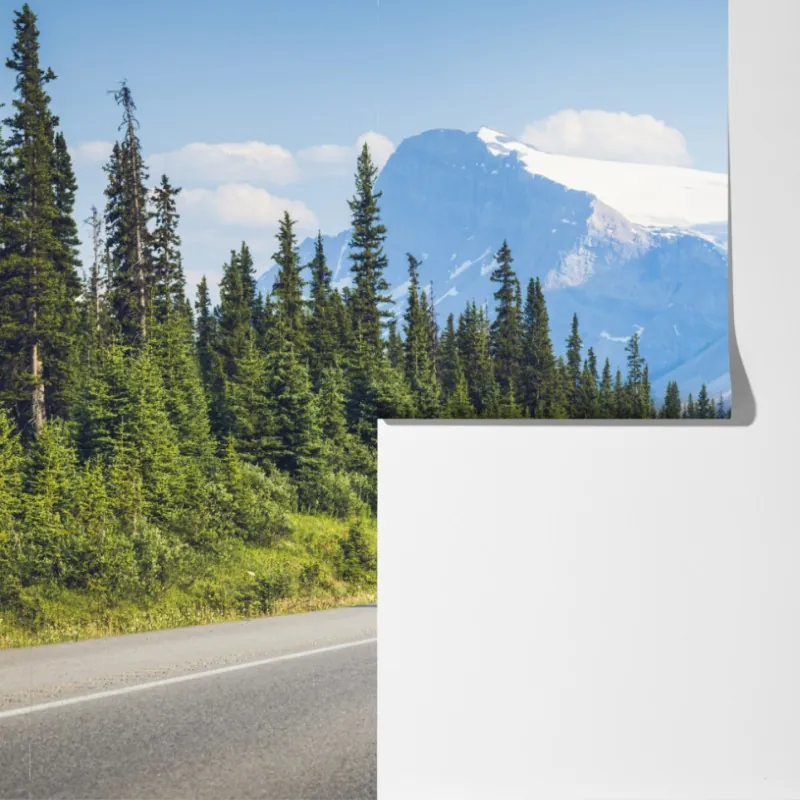 Fototapeta droga przez las iglasty do gór i lodowcowego jeziora – Wallissimo® Fototapeta droga przez las iglasty do gór i lodowcowego jeziora – Wallissimo®