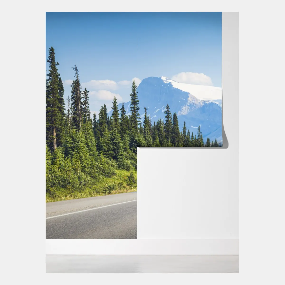 Fototapeta droga przez las iglasty do gór i lodowcowego jeziora – Wallissimo® Fototapeta droga przez las iglasty do gór i lodowcowego jeziora – Wallissimo®