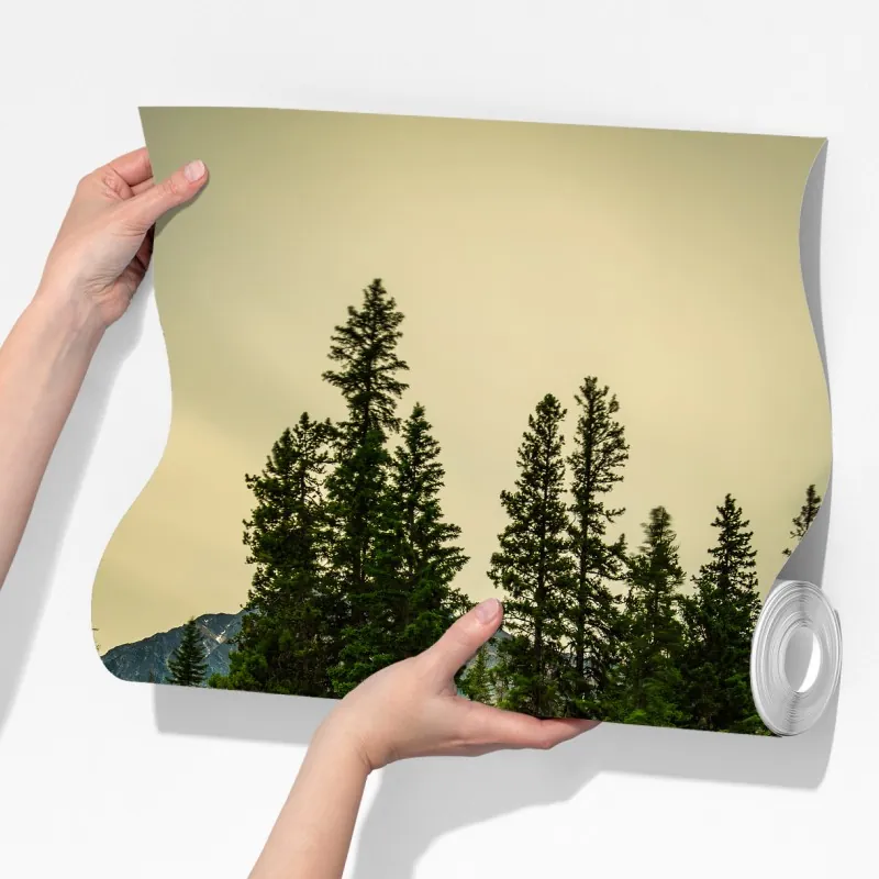 Fototapeta wieczorny spacer na wyspę Pyramid, Park Narodowy Jasper – Wallissimo® Fototapeta wieczorny spacer na wyspę Pyramid, Park Narodowy Jasper – Wallissimo®