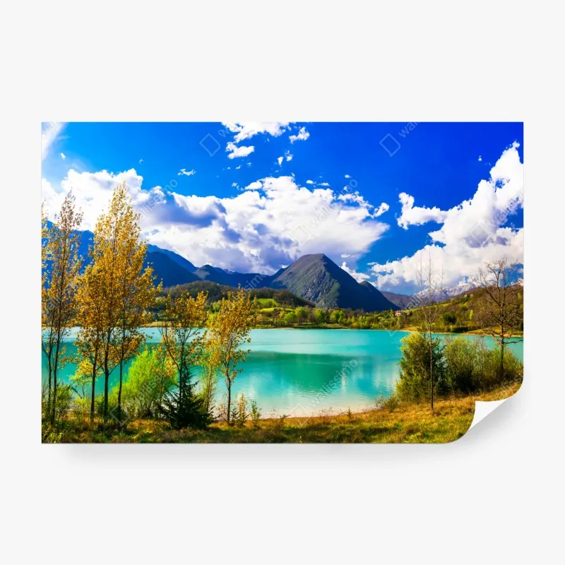 Fototapeta żywy niebieski bukiet irysów – Wallissimo®