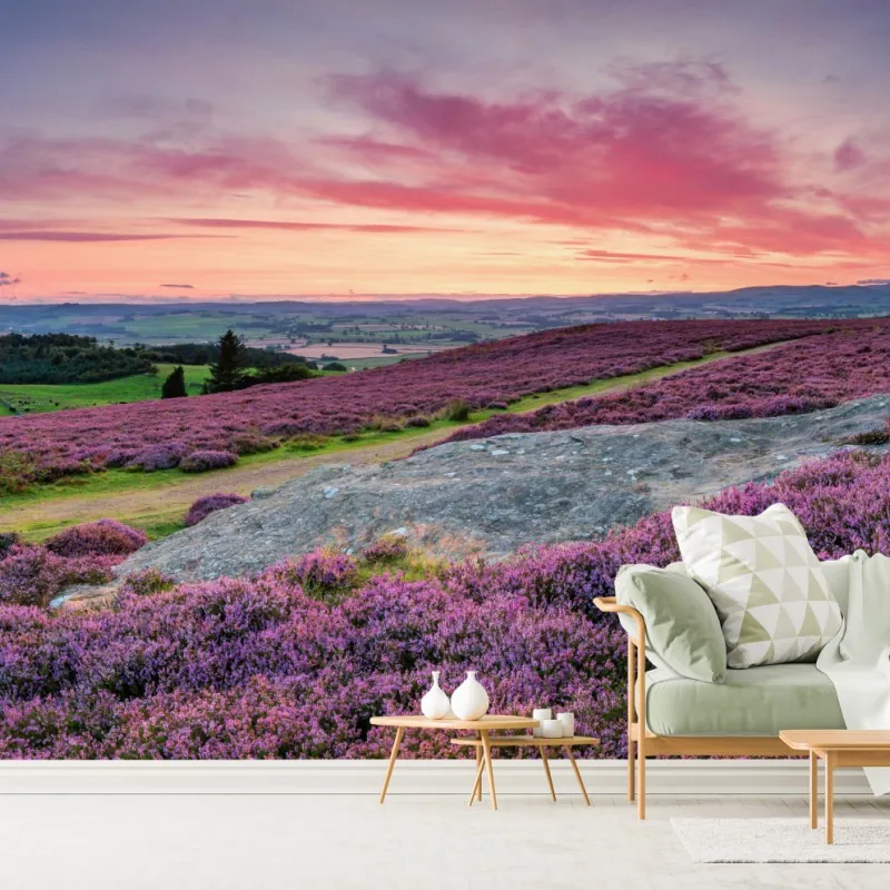 Fototapeta fioletowe wrzosowiska o zachodzie słońca – Wallissimo® Fototapeta fioletowe wrzosowiska o zachodzie słońca – Wallissimo®