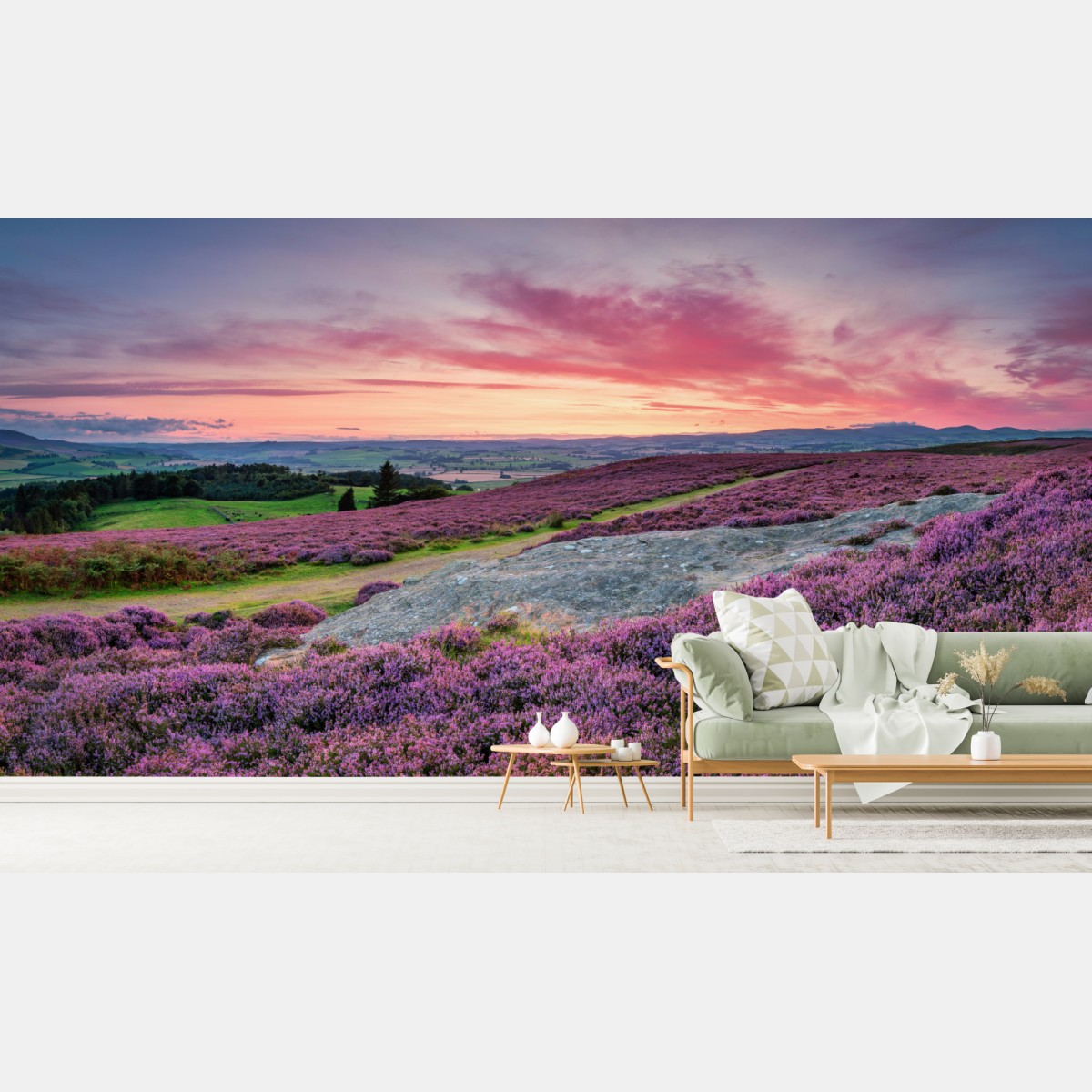 Wall mural purple heather meadows at sunset