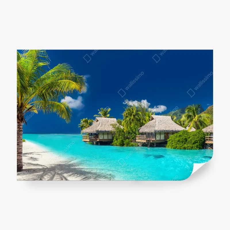 Fototapeta pastelowy wzór muszelkowy – Wallissimo®