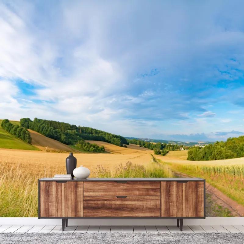 Fototapeta poranna panorama pszenicy w Kansas