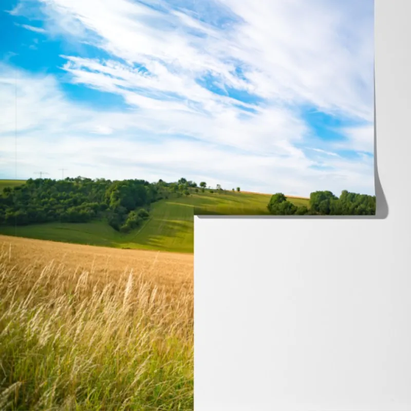 Fototapeta poranna panorama pszenicy w Kansas – Wallissimo® Fototapeta poranna panorama pszenicy w Kansas – Wallissimo®