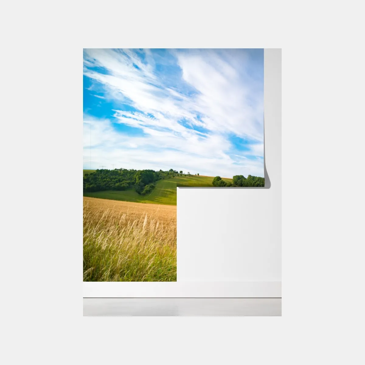 Fototapeta poranna panorama pszenicy w Kansas – Wallissimo® Fototapeta poranna panorama pszenicy w Kansas – Wallissimo®