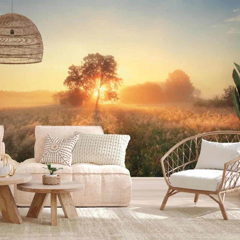 Fototapeta złoty wschód słońca nad mglistą łąką