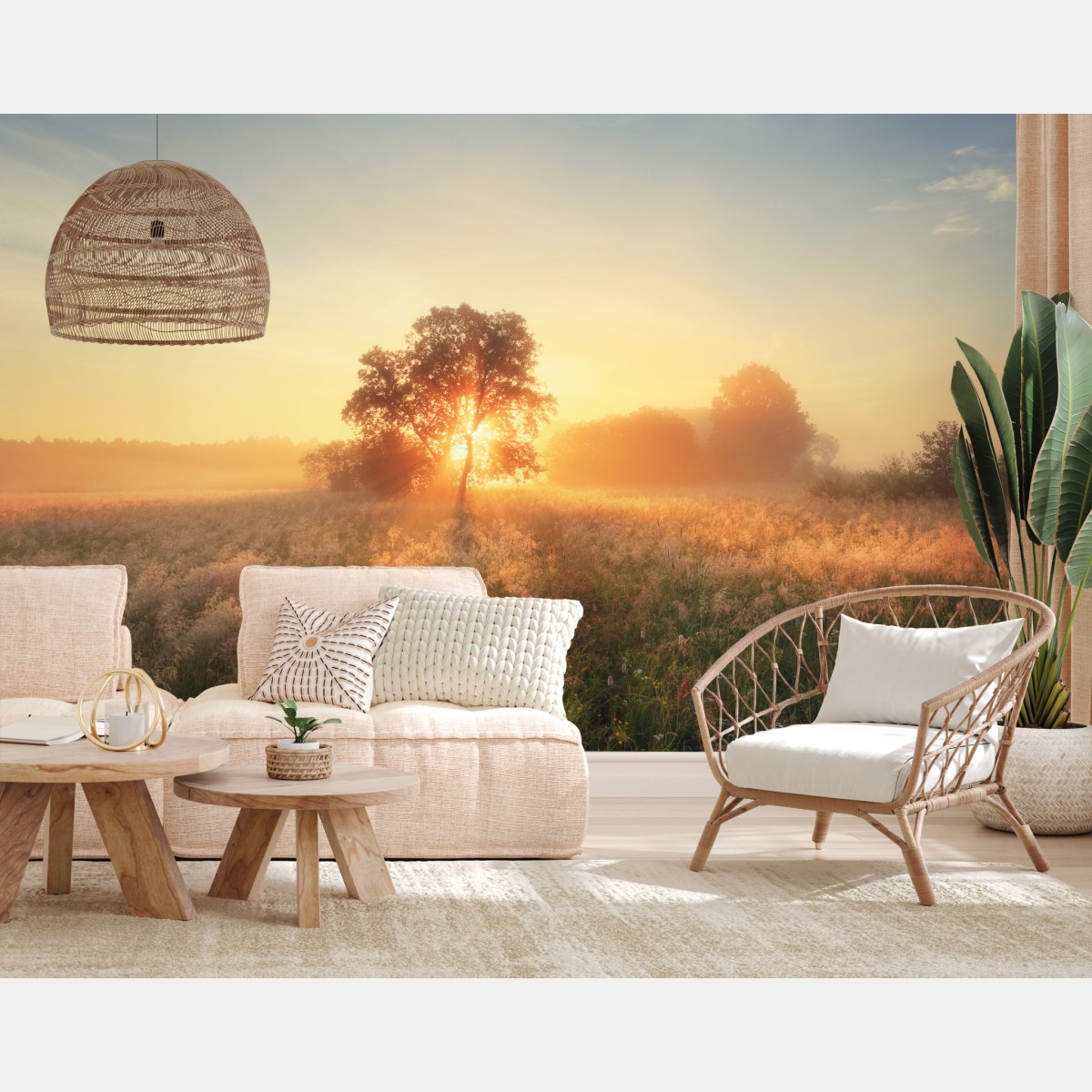 Wall mural golden sunrise over misty meadow