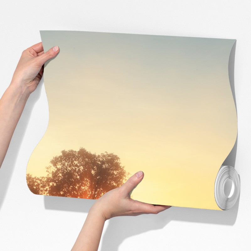 Fototapeta złoty wschód słońca nad mglistą łąką – Wallissimo® Fototapeta złoty wschód słońca nad mglistą łąką – Wallissimo®