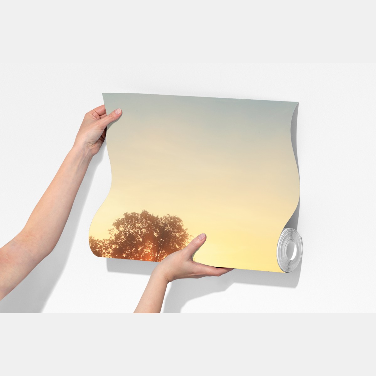 Fototapeta złoty wschód słońca nad mglistą łąką – Wallissimo® Fototapeta złoty wschód słońca nad mglistą łąką – Wallissimo®