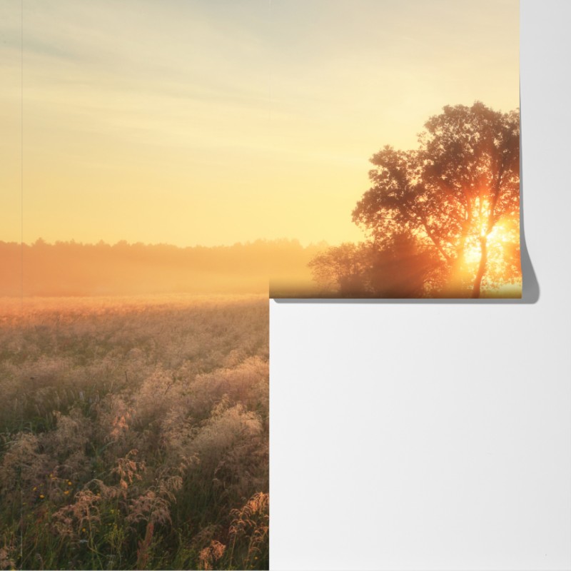 Fototapeta złoty wschód słońca nad mglistą łąką – Wallissimo® Fototapeta złoty wschód słońca nad mglistą łąką – Wallissimo®