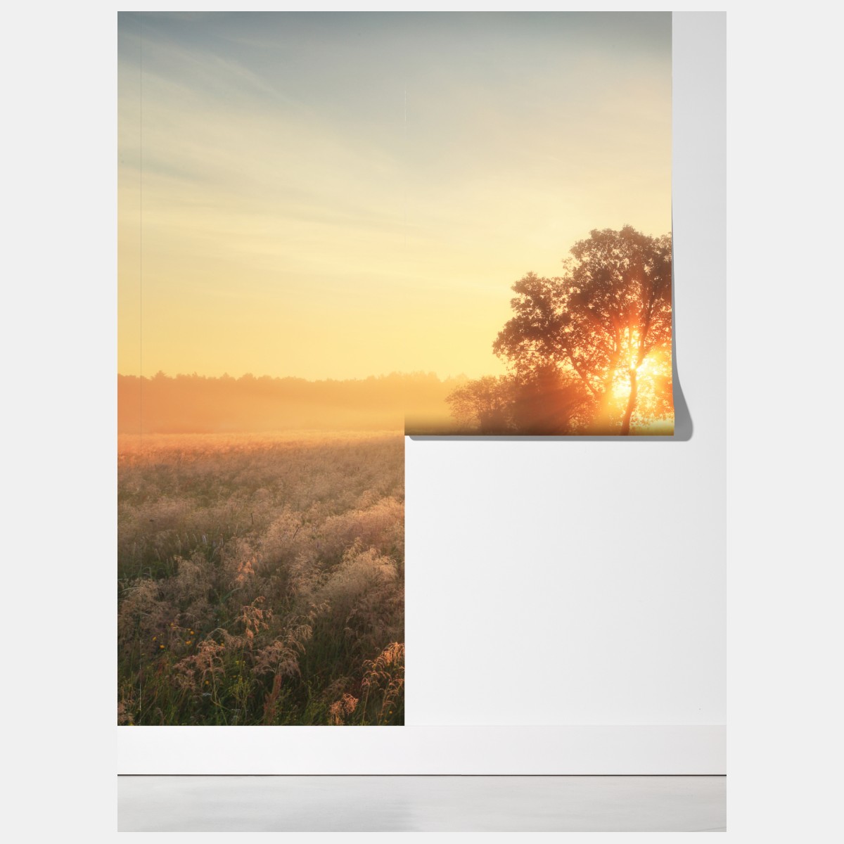 Fototapeta złoty wschód słońca nad mglistą łąką – Wallissimo® Fototapeta złoty wschód słońca nad mglistą łąką – Wallissimo®