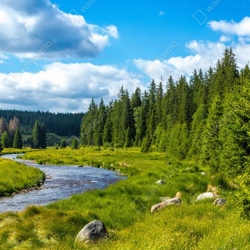 Fototapeta spokojna rzeka nad łąką – Wallissimo® Fototapeta spokojna rzeka nad łąką – Wallissimo®