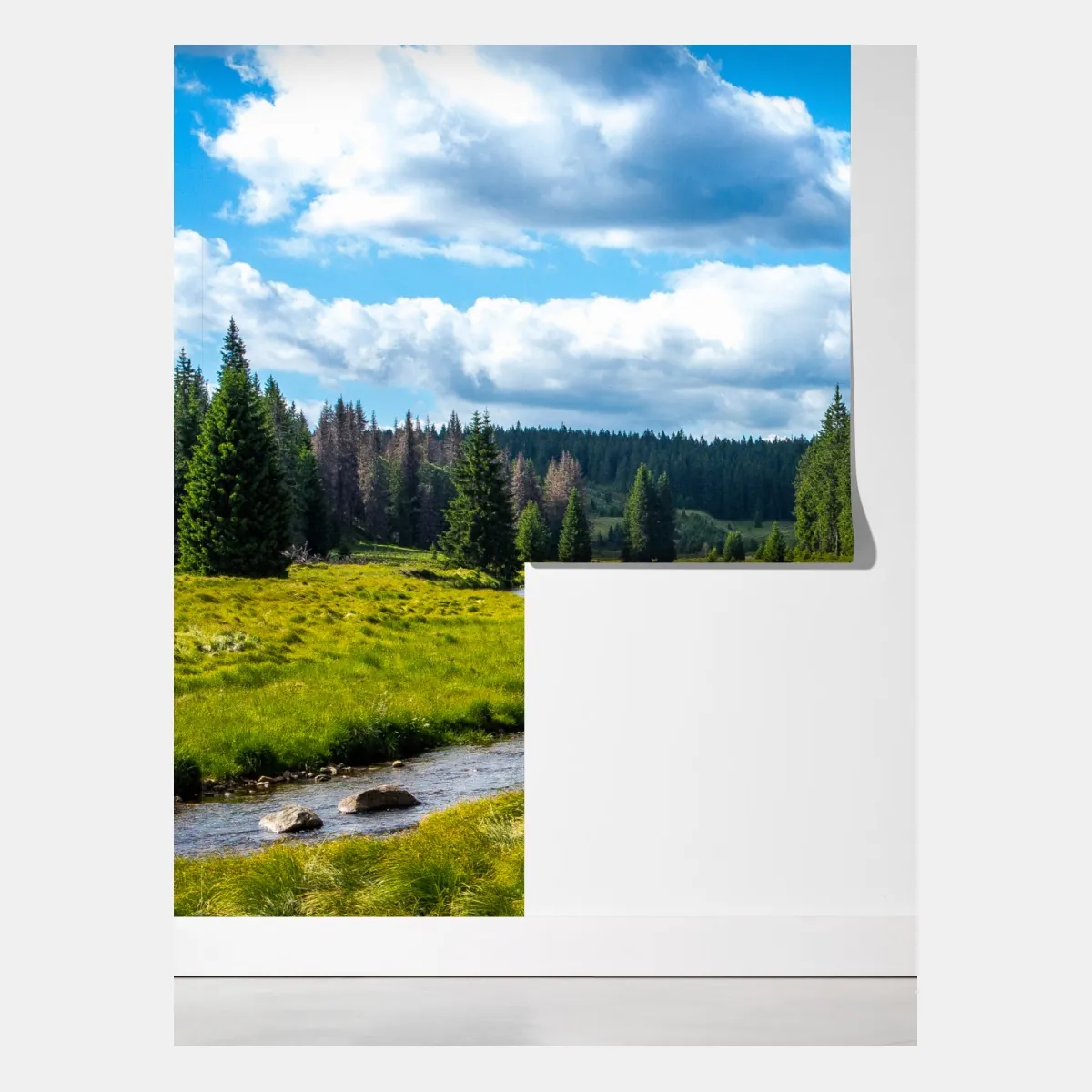 Fototapeta spokojna rzeka nad łąką – Wallissimo® Fototapeta spokojna rzeka nad łąką – Wallissimo®