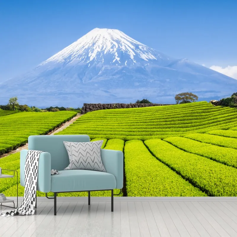 Fototapeta bujne pola herbaty u stóp Góry Fuji