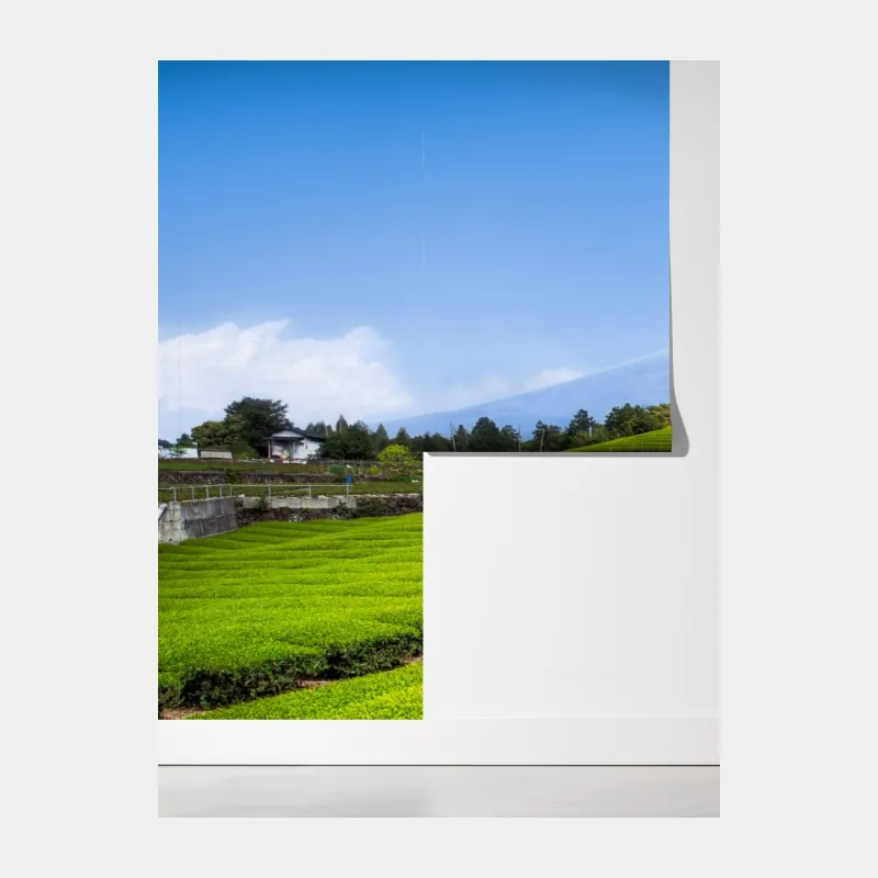 Fototapeta bujne pola herbaty u stóp Góry Fuji – Wallissimo® Fototapeta bujne pola herbaty u stóp Góry Fuji – Wallissimo®