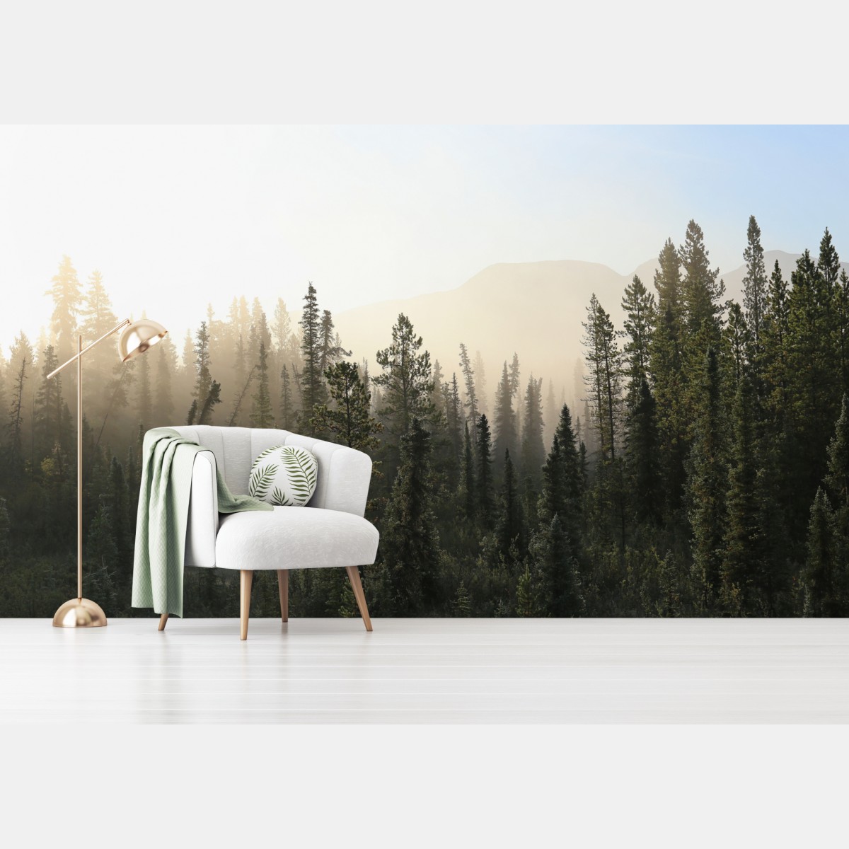 Wall mural misty pine forest at sunrise