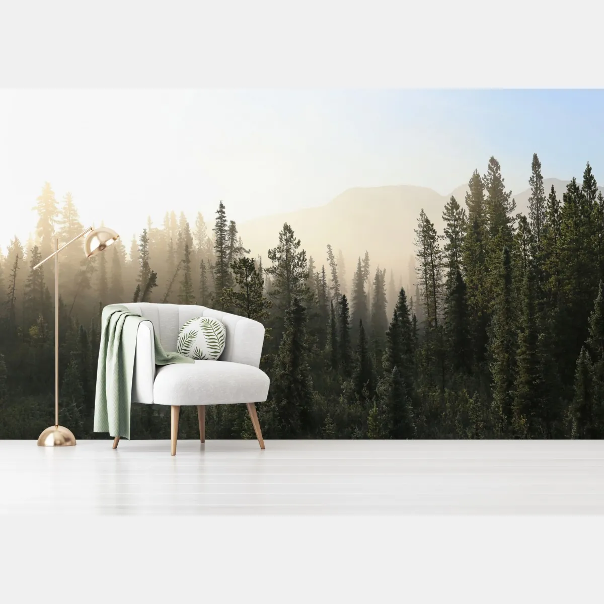 Fototapeta mglisty las sosnowy o wschodzie słońca – Wallissimo® Fototapeta mglisty las sosnowy o wschodzie słońca – Wallissimo®