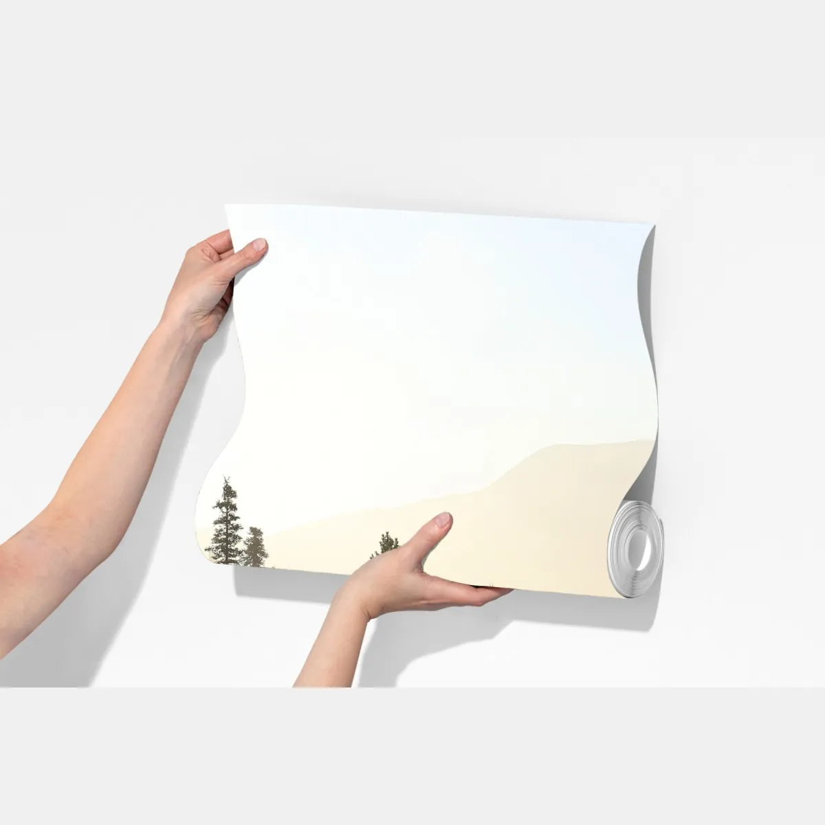 Fototapeta mglisty las sosnowy o wschodzie słońca – Wallissimo® Fototapeta mglisty las sosnowy o wschodzie słońca – Wallissimo®