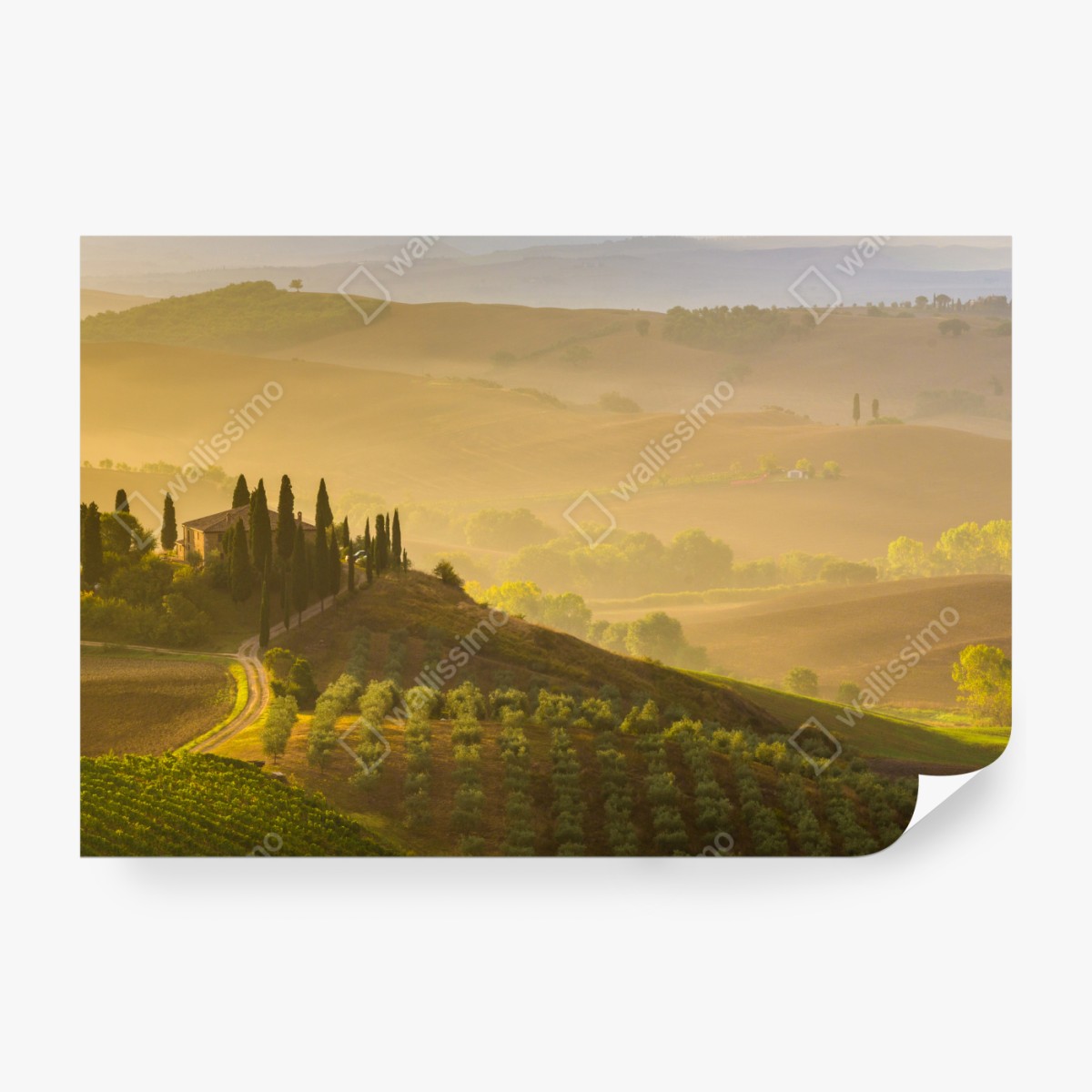 Fototapeta mglisty poranek nad Val d'Orcia – Wallissimo® Fototapeta mglisty poranek nad Val d'Orcia – Wallissimo®
