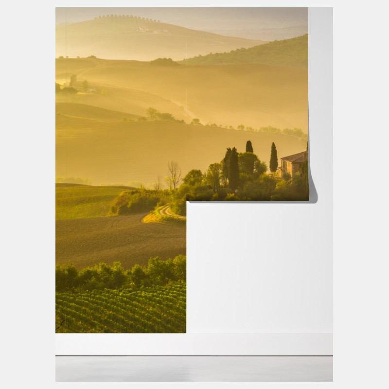 Fototapeta mglisty poranek nad Val d'Orcia – Wallissimo® Fototapeta mglisty poranek nad Val d'Orcia – Wallissimo®