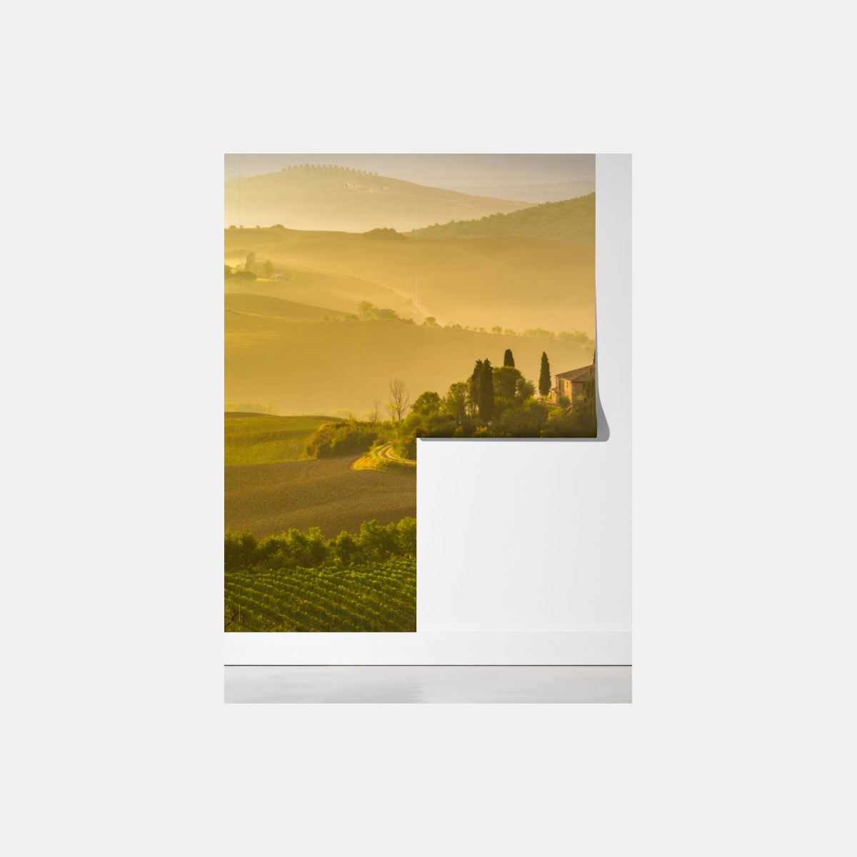 Fototapeta mglisty poranek nad Val d'Orcia – Wallissimo® Fototapeta mglisty poranek nad Val d'Orcia – Wallissimo®