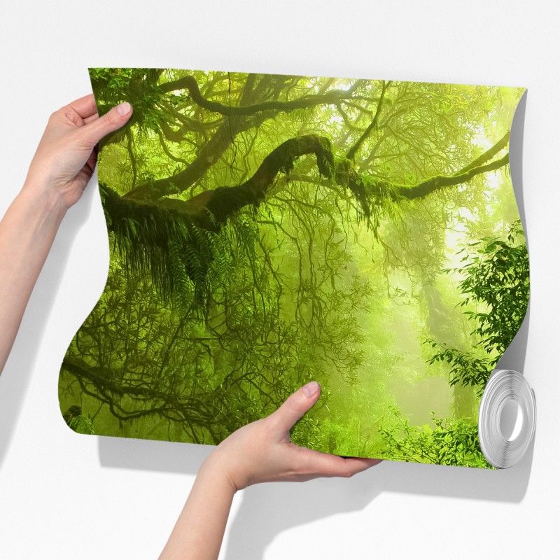 Fototapeta leśny strumień porośnięty mchem – Wallissimo® Fototapeta leśny strumień porośnięty mchem – Wallissimo®