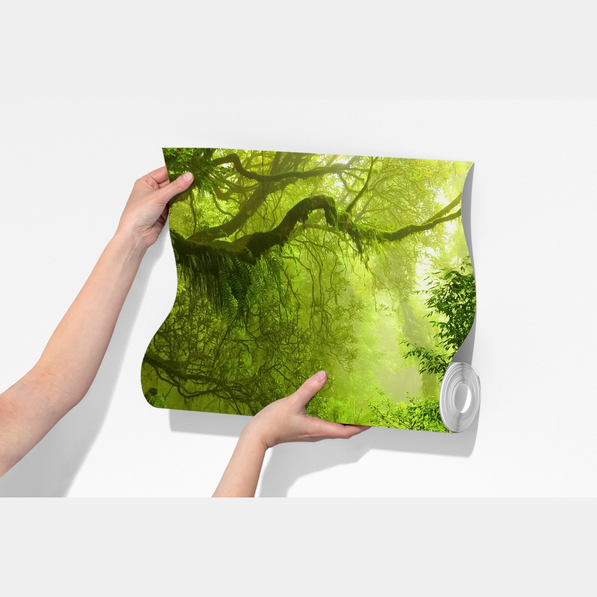 Fototapeta leśny strumień porośnięty mchem – Wallissimo® Fototapeta leśny strumień porośnięty mchem – Wallissimo®