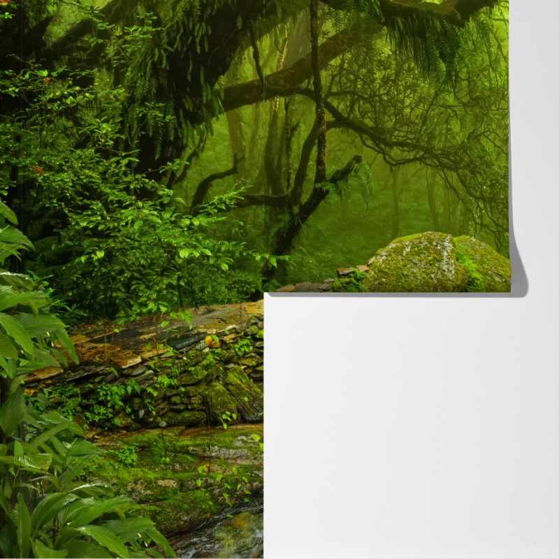 Fototapeta leśny strumień porośnięty mchem – Wallissimo® Fototapeta leśny strumień porośnięty mchem – Wallissimo®