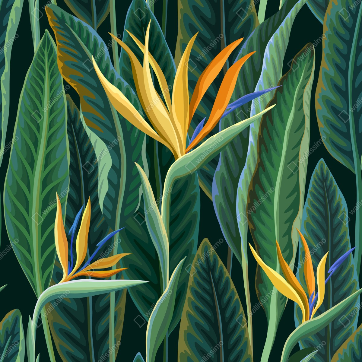 Fototapeta tropikalna ilustracja strelicji i bujnych liści – Wallissimo® Fototapeta tropikalna ilustracja strelicji i bujnych liści – Wallissimo®