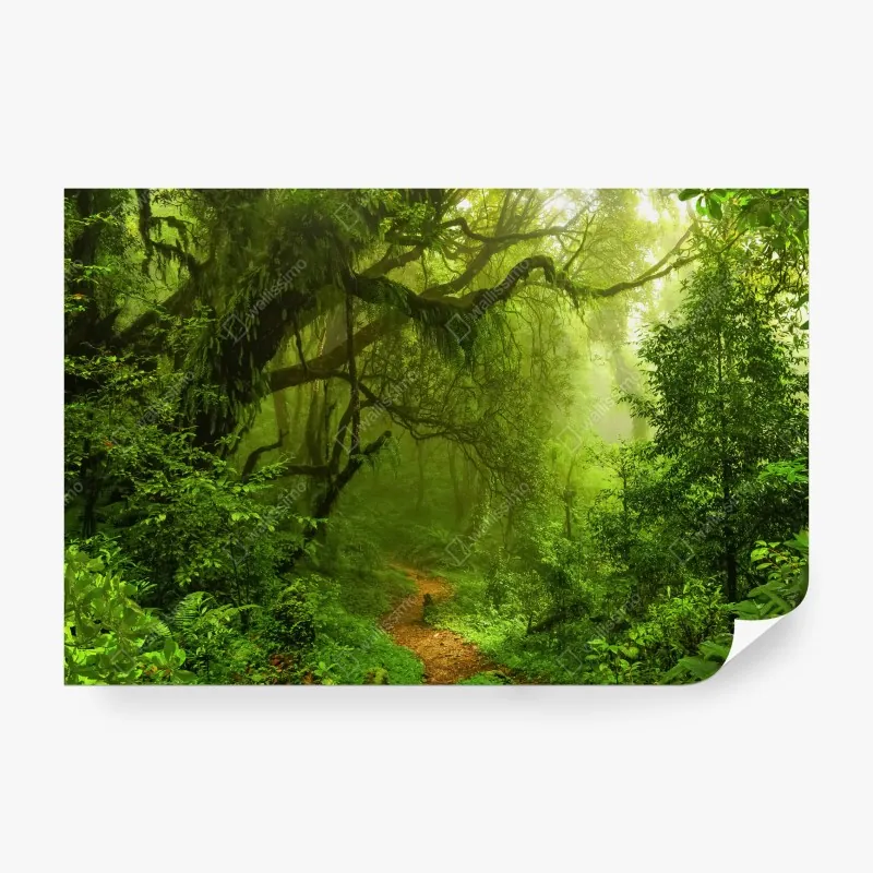 Fototapeta bujna zielona leśna ścieżka