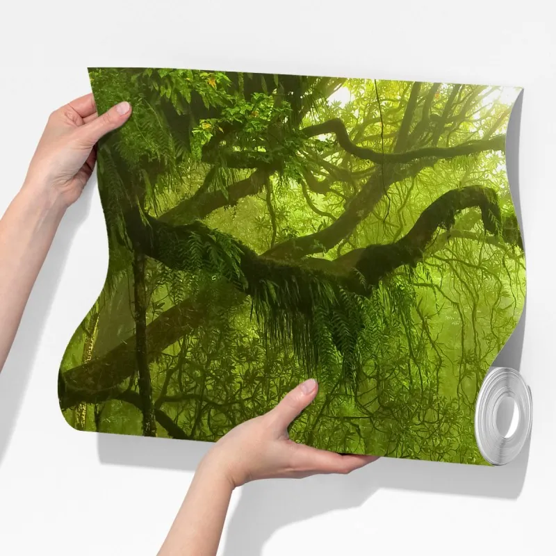 Fototapeta bujna zielona leśna ścieżka – Wallissimo® Fototapeta bujna zielona leśna ścieżka – Wallissimo®