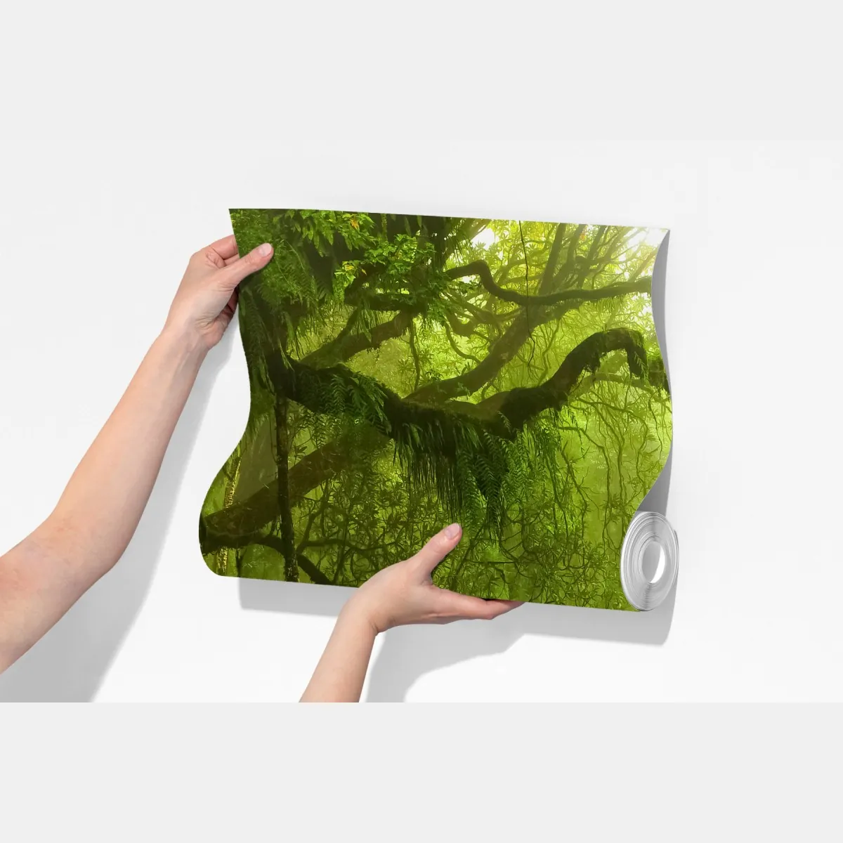 Fototapeta bujna zielona leśna ścieżka – Wallissimo® Fototapeta bujna zielona leśna ścieżka – Wallissimo®