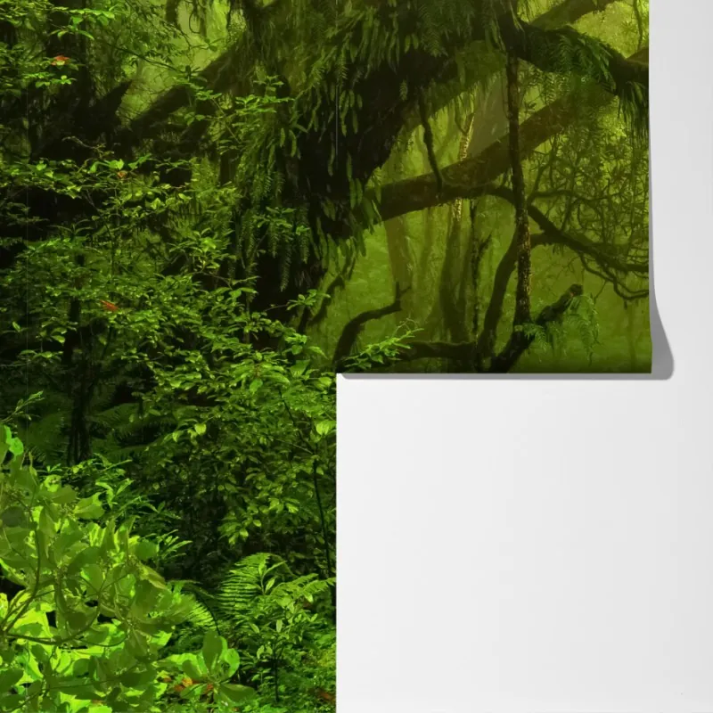 Fototapeta bujna zielona leśna ścieżka – Wallissimo® Fototapeta bujna zielona leśna ścieżka – Wallissimo®