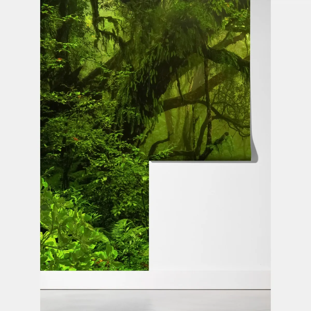 Fototapeta bujna zielona leśna ścieżka – Wallissimo® Fototapeta bujna zielona leśna ścieżka – Wallissimo®