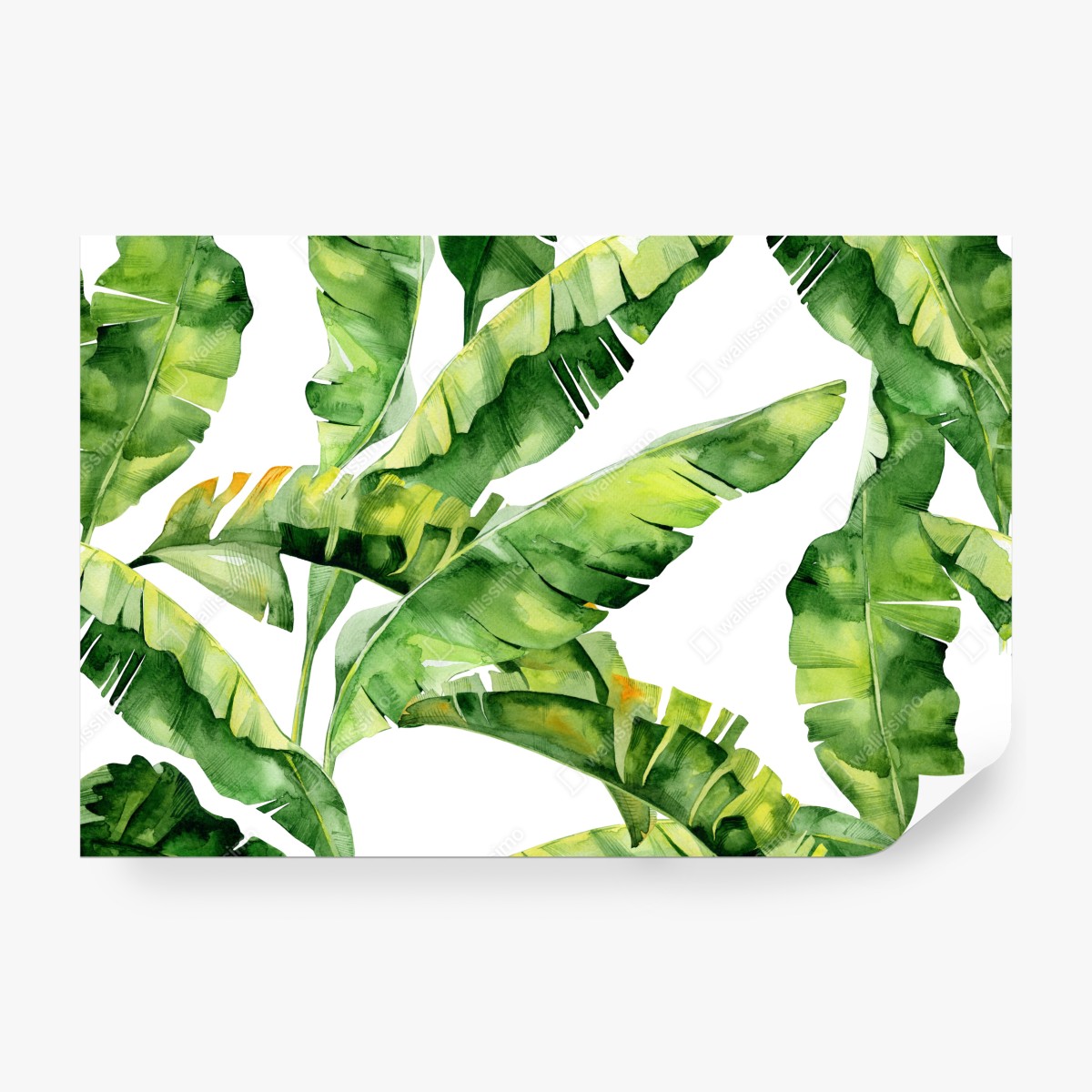 Fototapeta tropikalny wzór z liśćmi bananowca w akwareli – Wallissimo® Fototapeta tropikalny wzór z liśćmi bananowca w akwareli – Wallissimo®