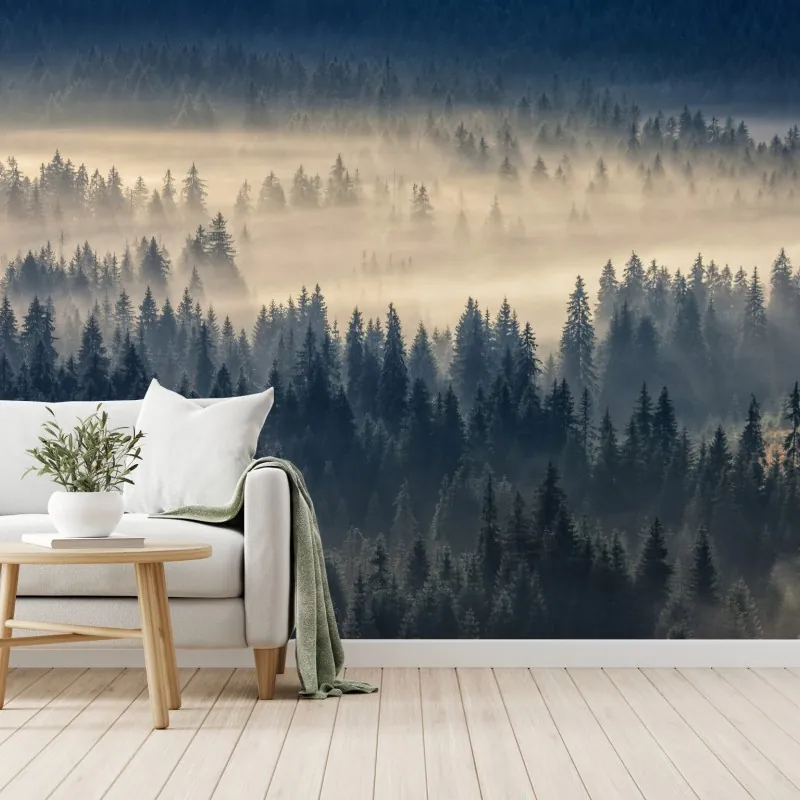 Fototapeta mglista dolina świerków o świcie