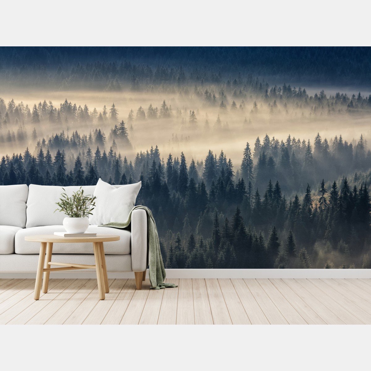Wall mural misty spruce valley at dawn
