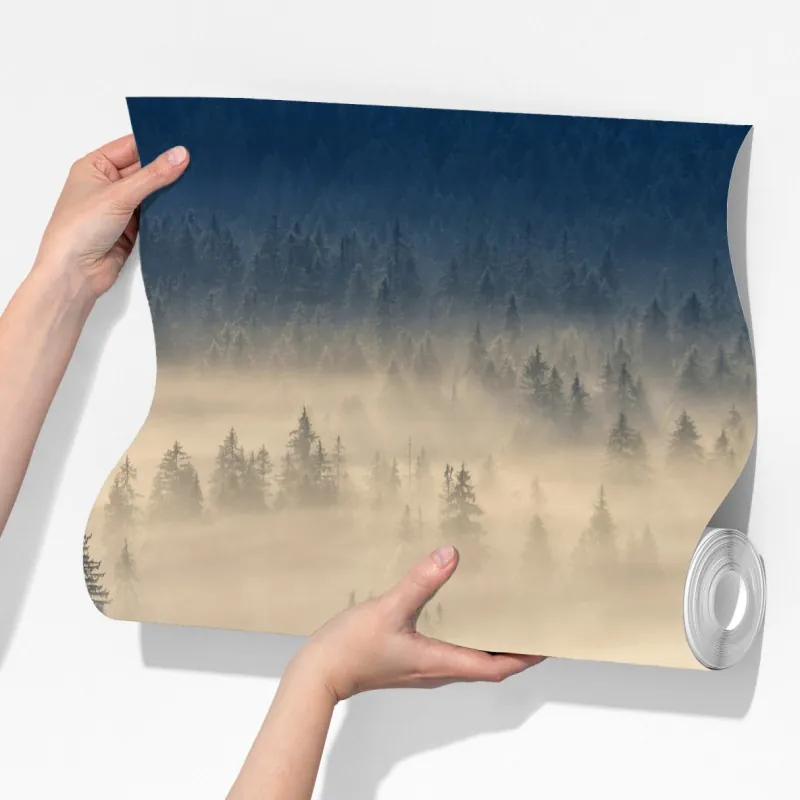 Fototapeta mglista dolina świerków o świcie – Wallissimo® Fototapeta mglista dolina świerków o świcie – Wallissimo®