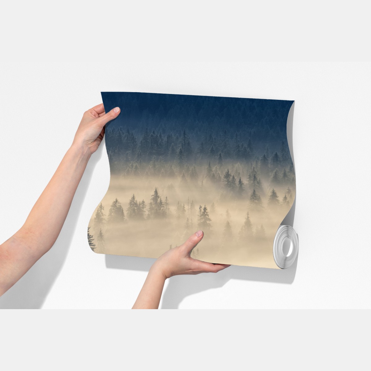 Fototapeta mglista dolina świerków o świcie – Wallissimo® Fototapeta mglista dolina świerków o świcie – Wallissimo®