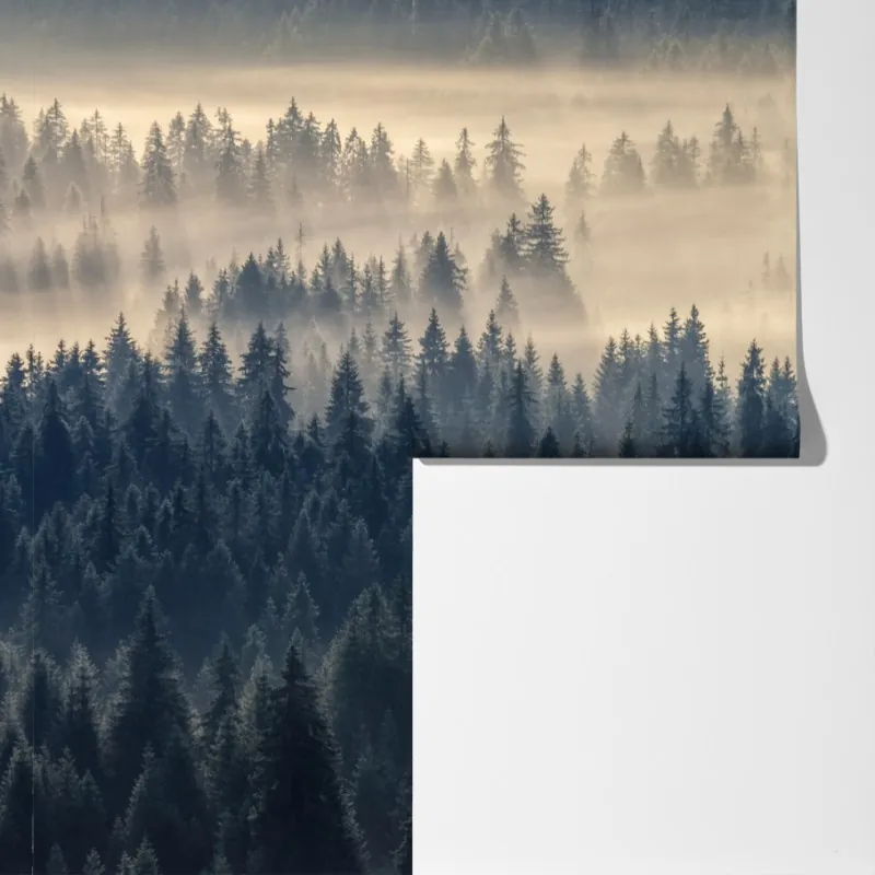 Fototapeta mglista dolina świerków o świcie – Wallissimo® Fototapeta mglista dolina świerków o świcie – Wallissimo®