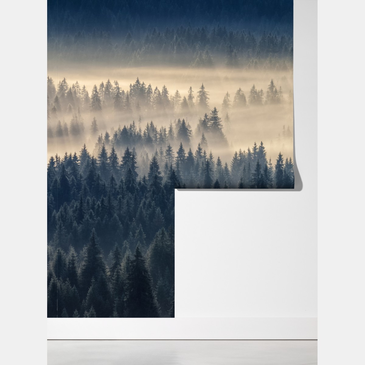 Fototapeta mglista dolina świerków o świcie – Wallissimo® Fototapeta mglista dolina świerków o świcie – Wallissimo®