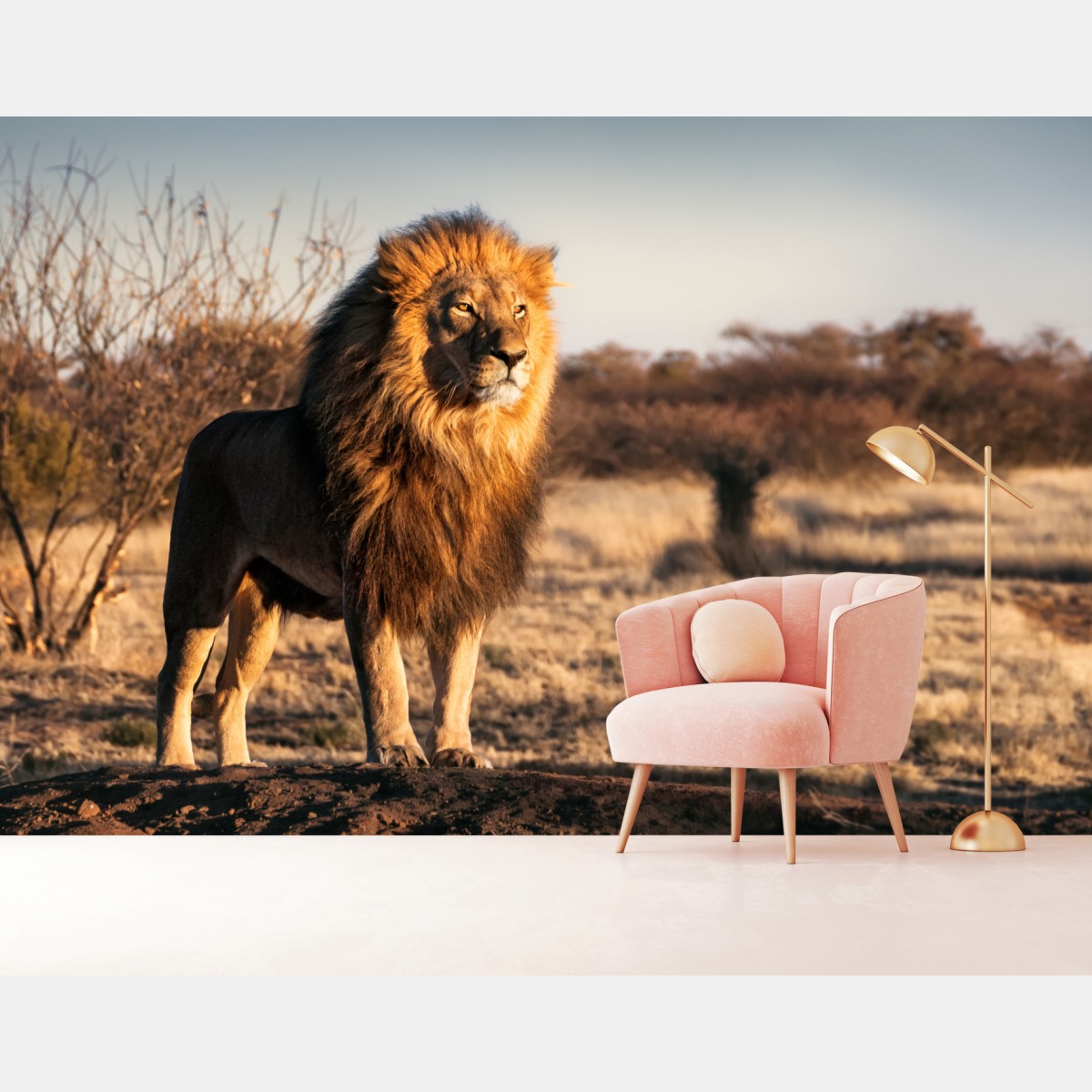 Wall mural regal lion on the savannah