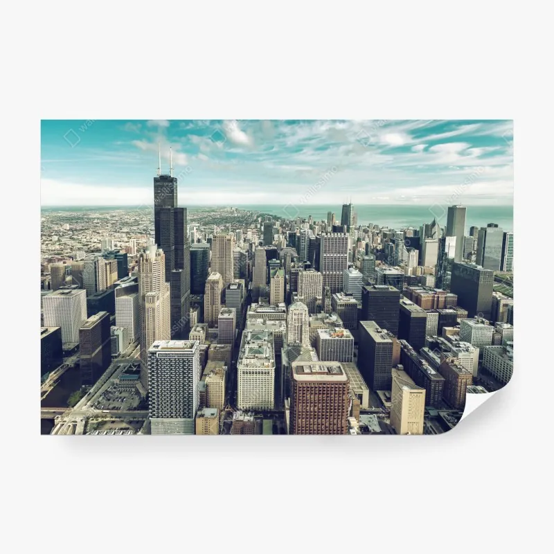 Fototapeta turkusowy las brzóz z ptakami – Wallissimo®