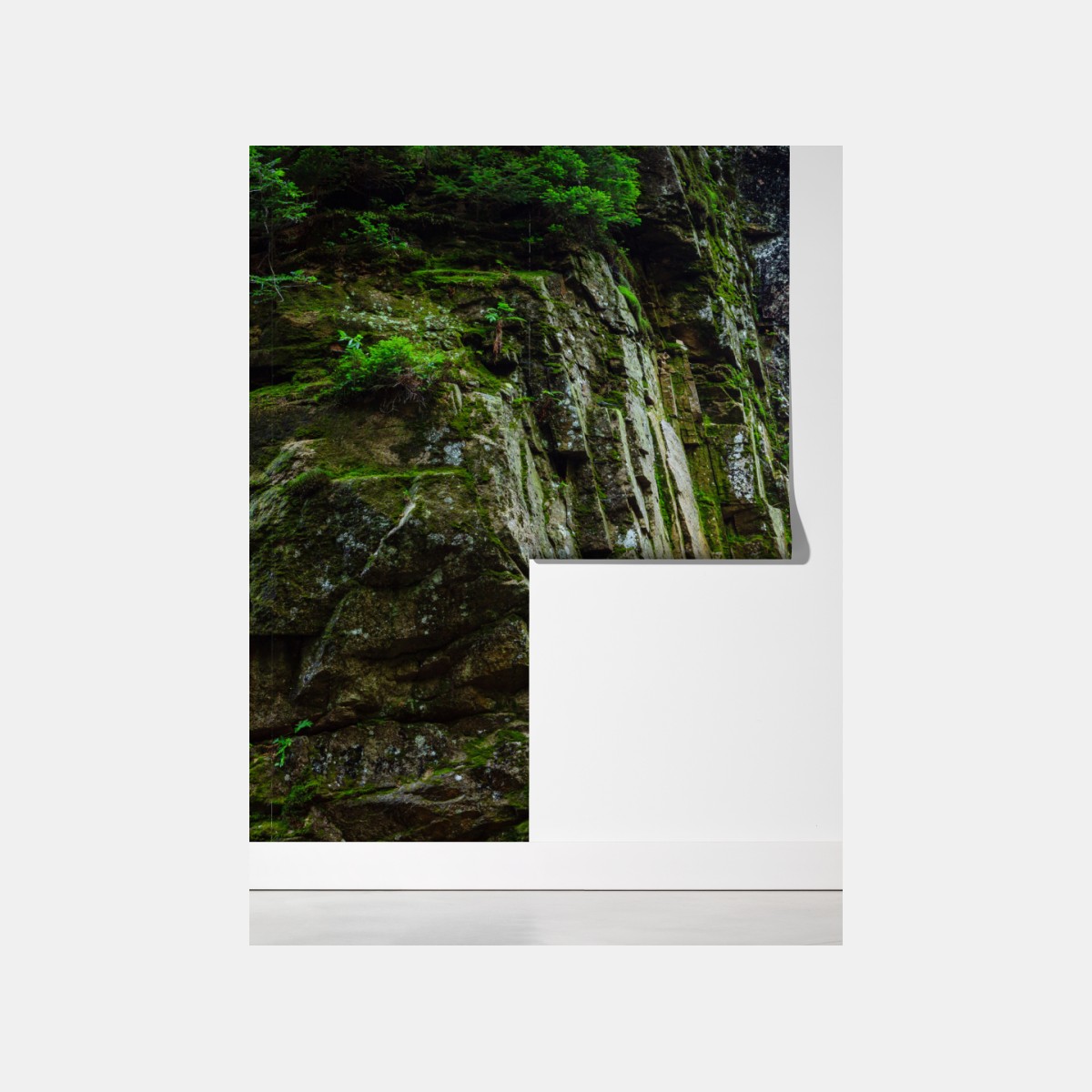 Fototapeta wodospad Kamienczyk w Karkonoszach – Wallissimo® Fototapeta wodospad Kamienczyk w Karkonoszach – Wallissimo®