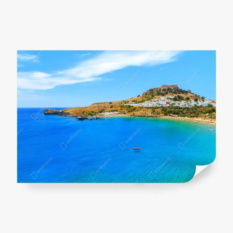 Fototapeta stado koni yilki galopujących po polu w Kayseri – Wallissimo®