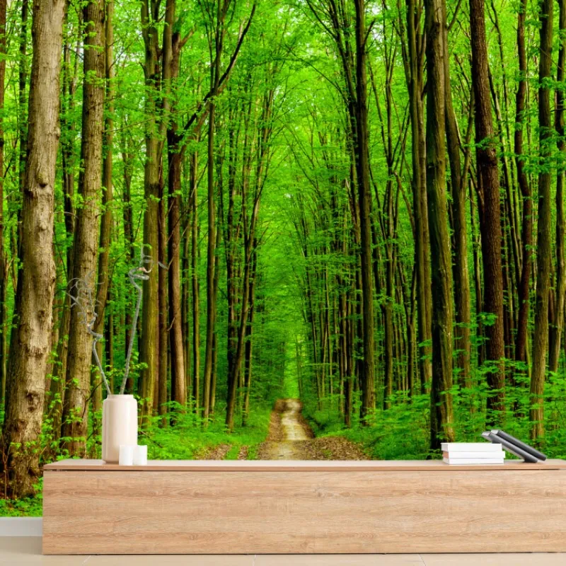 Fototapeta zielona leśna ścieżka wiosną