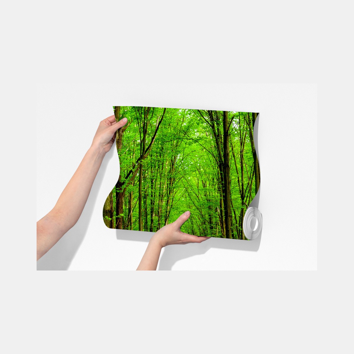 Fototapeta zielona leśna ścieżka wiosną – Wallissimo® Fototapeta zielona leśna ścieżka wiosną – Wallissimo®